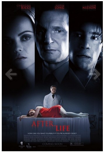 Despues de la vida 2009 ES